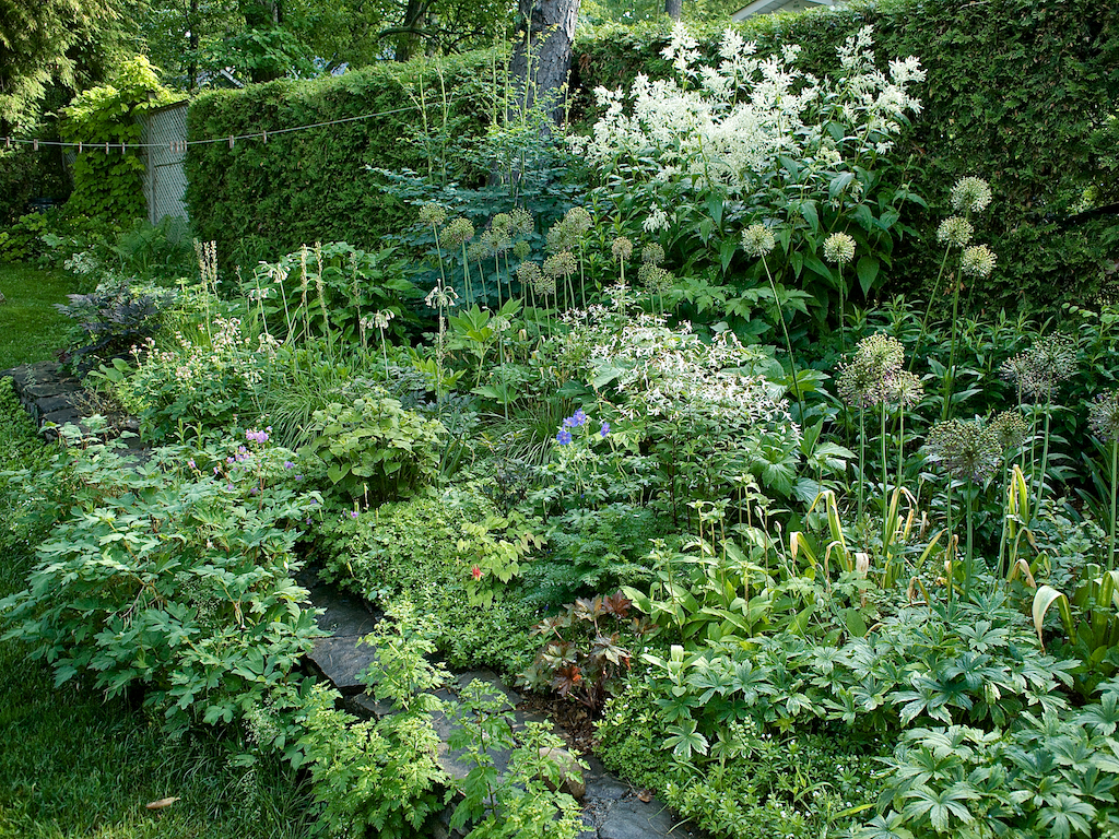 Home Ground: The Uncottage Garden - The New Perennialist