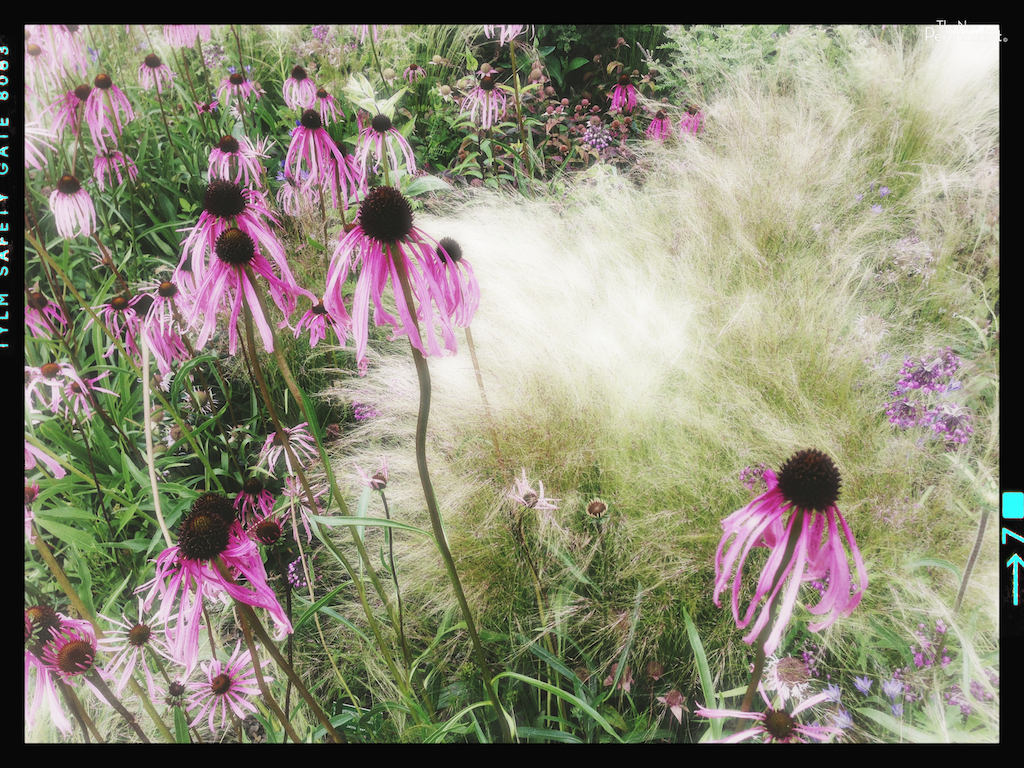 Hermannshof: The German Genius for Goals and Gardens - The New Perennialist