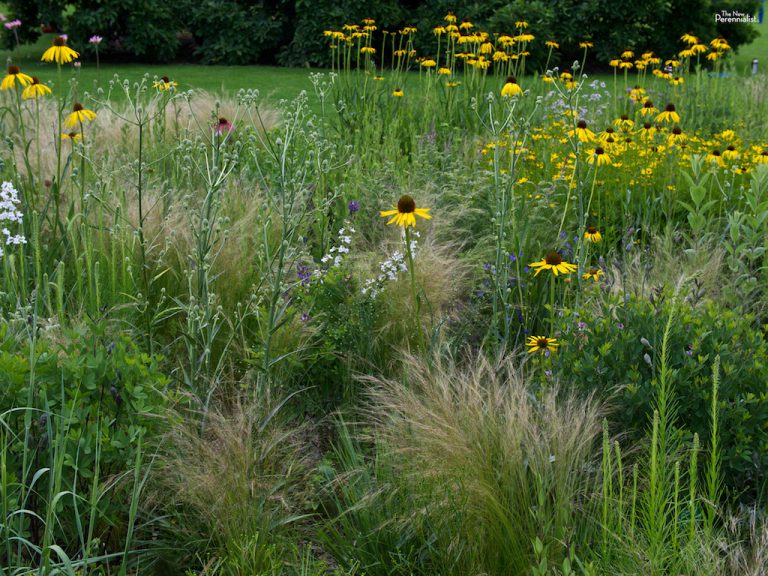 Hermannshof: The German Genius For Goals And Gardens - The New Perennialist