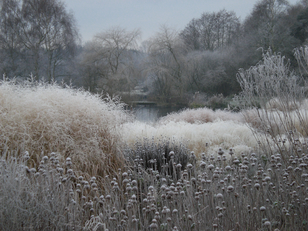 In a Dark Time: The Skeletal Garden - The New Perennialist