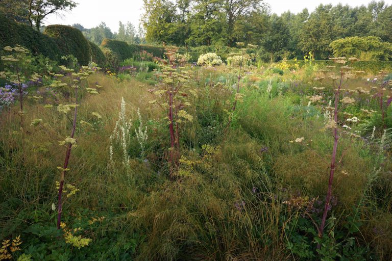 Wild-ish at Heart: Naturalistic planting design - The New Perennialist