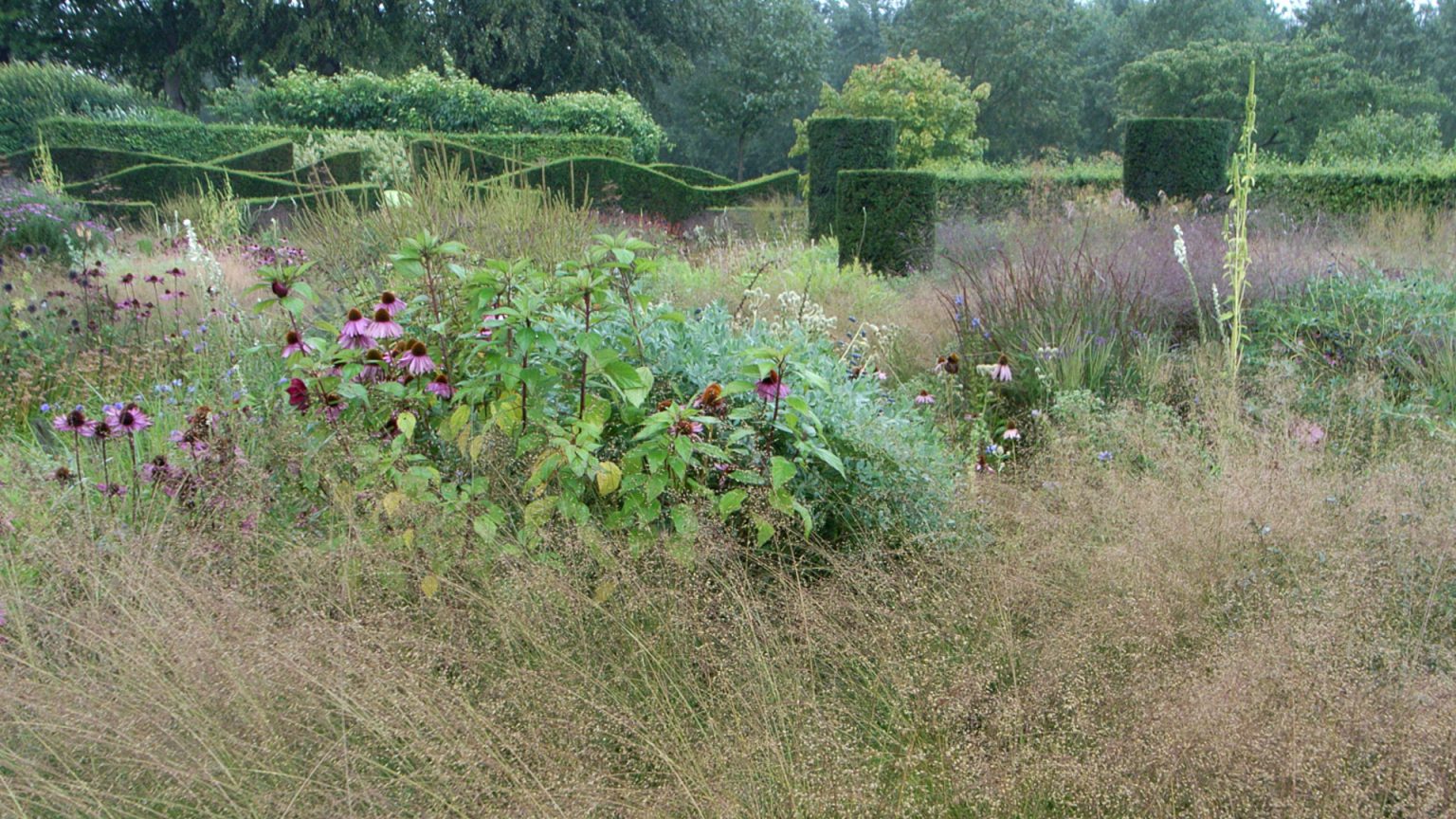 Wildscaping: The Home Edition - The New Perennialist