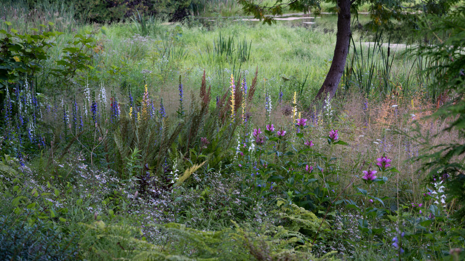 The Wildscaping Talk: Explorations in Naturalistic Planting Design ...