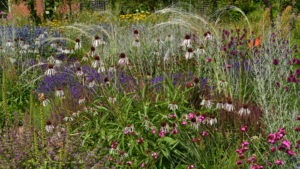 Enter Sandman: The High Diversity Plantings of Peter Korn - The New ...