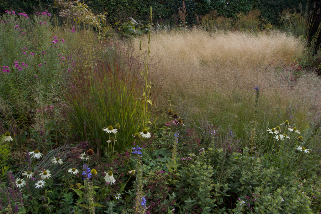 Grassendaggen: A Fall Epiphany at Hummelo | The New Perennialist