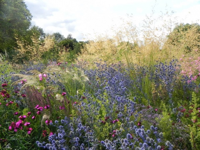 Tempest in a Flower Pot: The New Perennial Debate | The New Perennialist