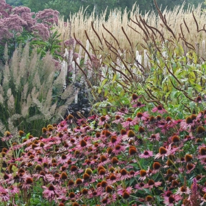 Wild-ish at Heart: Naturalistic planting design | The New Perennialist